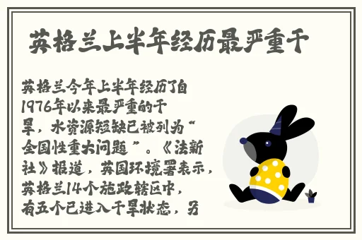 专区国产精品第一页
